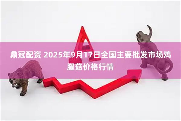 鼎冠配资 2025年9月17日全国主要批发市场鸡腿菇价格行情