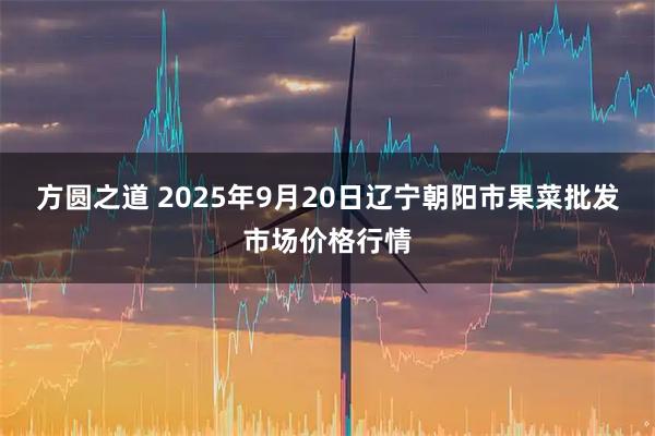 方圆之道 2025年9月20日辽宁朝阳市果菜批发市场价格行情