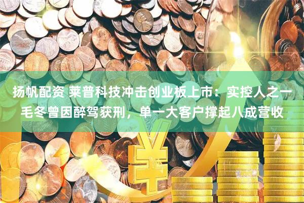 扬帆配资 莱普科技冲击创业板上市：实控人之一毛冬曾因醉驾获刑，单一大客户撑起八成营收