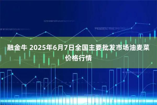 融金牛 2025年6月7日全国主要批发市场油麦菜价格行情