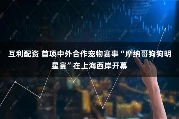 互利配资 首项中外合作宠物赛事“摩纳哥狗狗明星赛”在上海西岸开幕